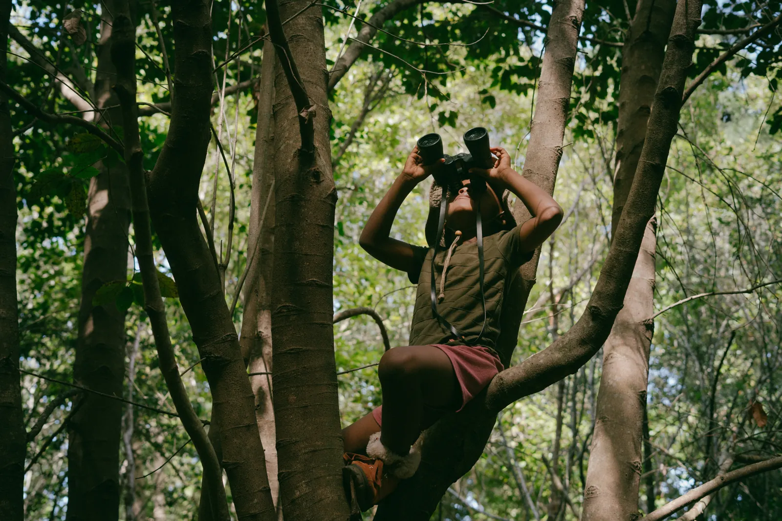 Explorer Tarsius: Afternoon Eco Tour 4
